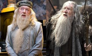Ian McKellen Dumbledore