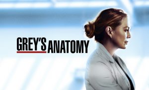 Grey's Anatomy Videoland