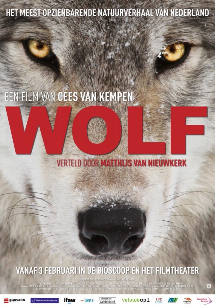 Wolf film