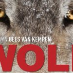 Natuur film Wolf vanaf 3 februari 2022 in de bioscoop