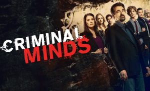 Criminal Minds op Videoland