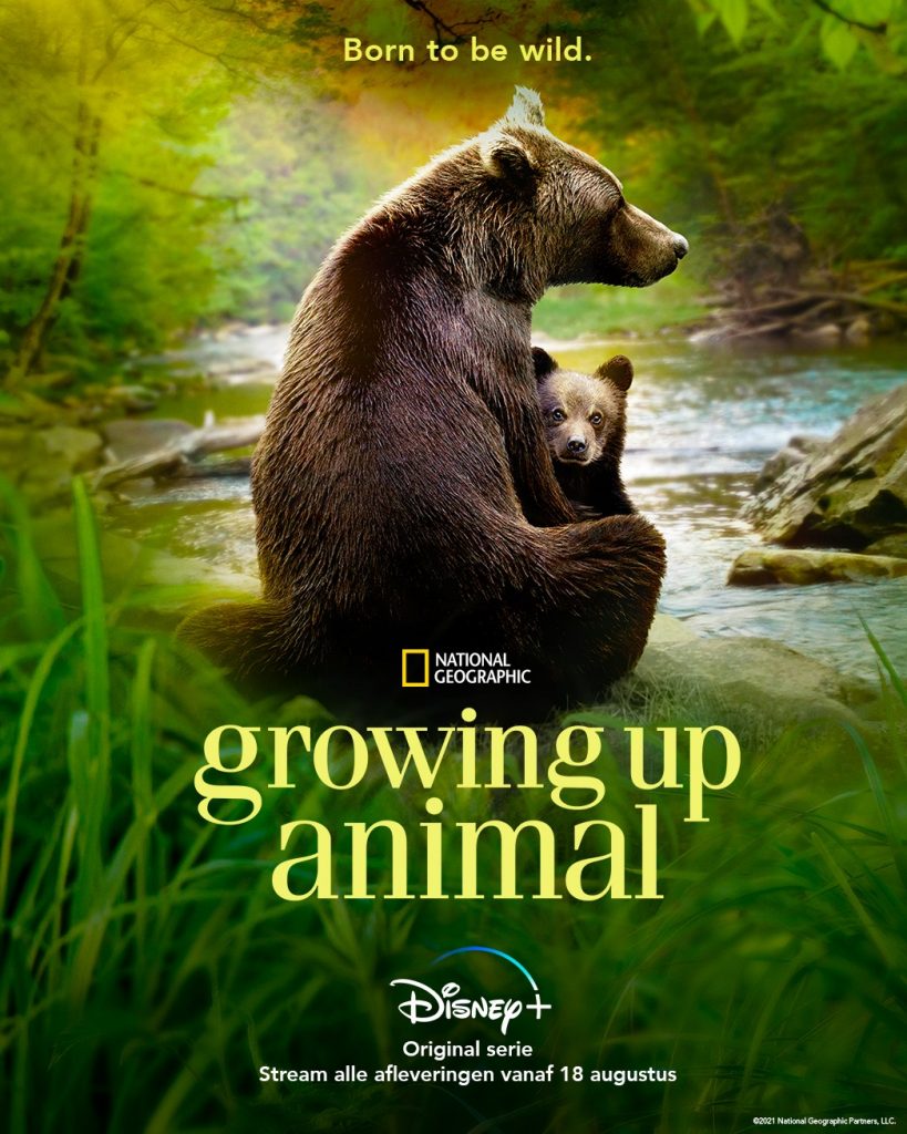Growing Up Animal Disney Plus