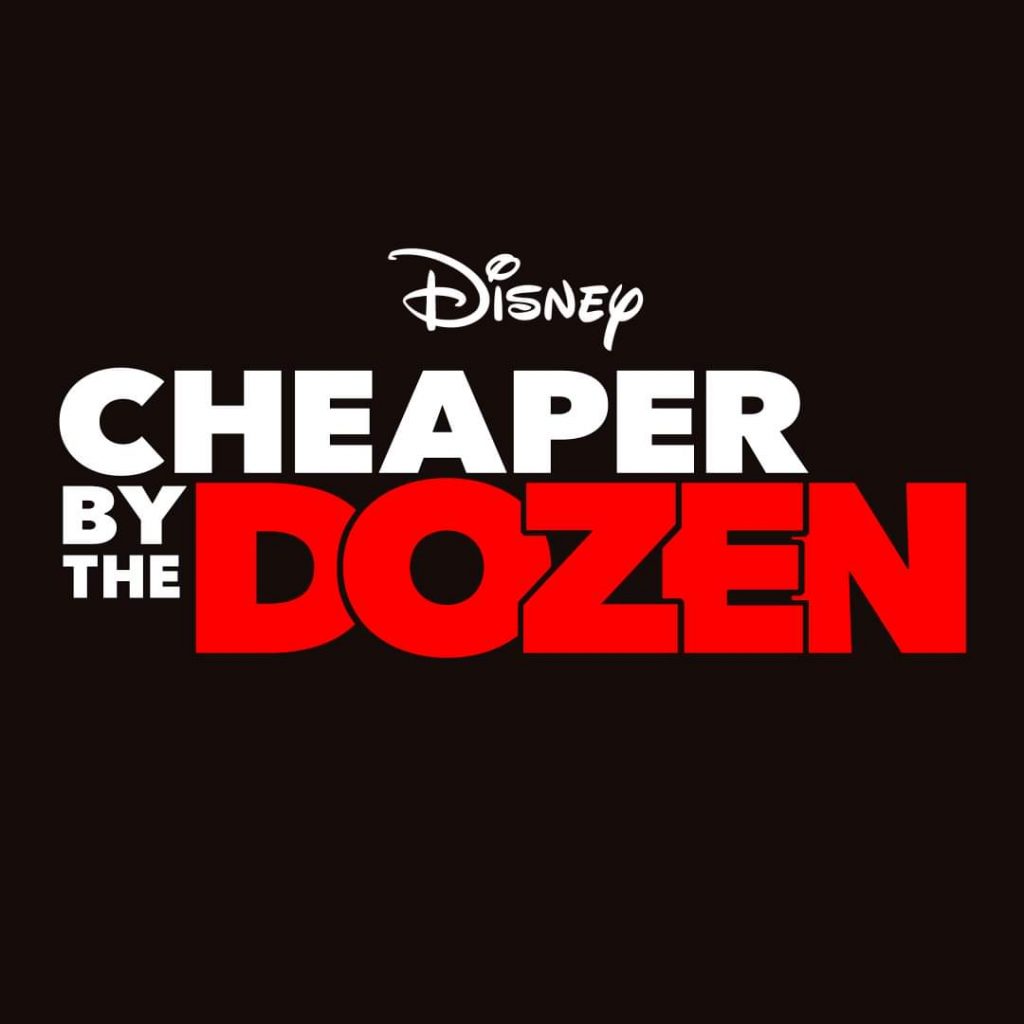 Cheaper By the Dozen remake