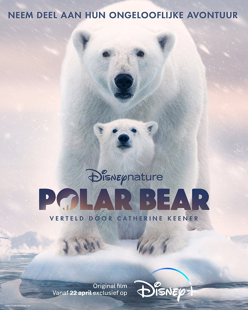 Polar Bear Disney Plus