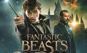 Fantastic Beasts dvd