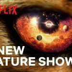 Trailer 6 nieuwe natuurdocumentaires Netflix